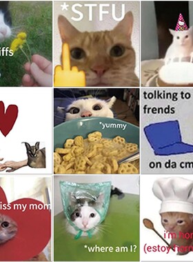 186张搞怪猫猫贴纸趣味沙雕搞笑表情包创意小贴画手机diy手账装饰