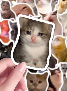 120张meme猫表情包贴纸可爱搞怪趣味diy装饰手机手稿桌面防水贴纸