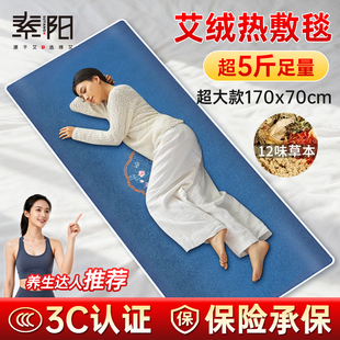 艾灸热敷毯全身理疗电加热毯褥子家用艾绒毯通用艾草垫正品旗舰店