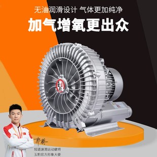 气泵罗茨涡轮220V大功率强力吸工业漩涡风机 高压鼓风机增氧旋涡式