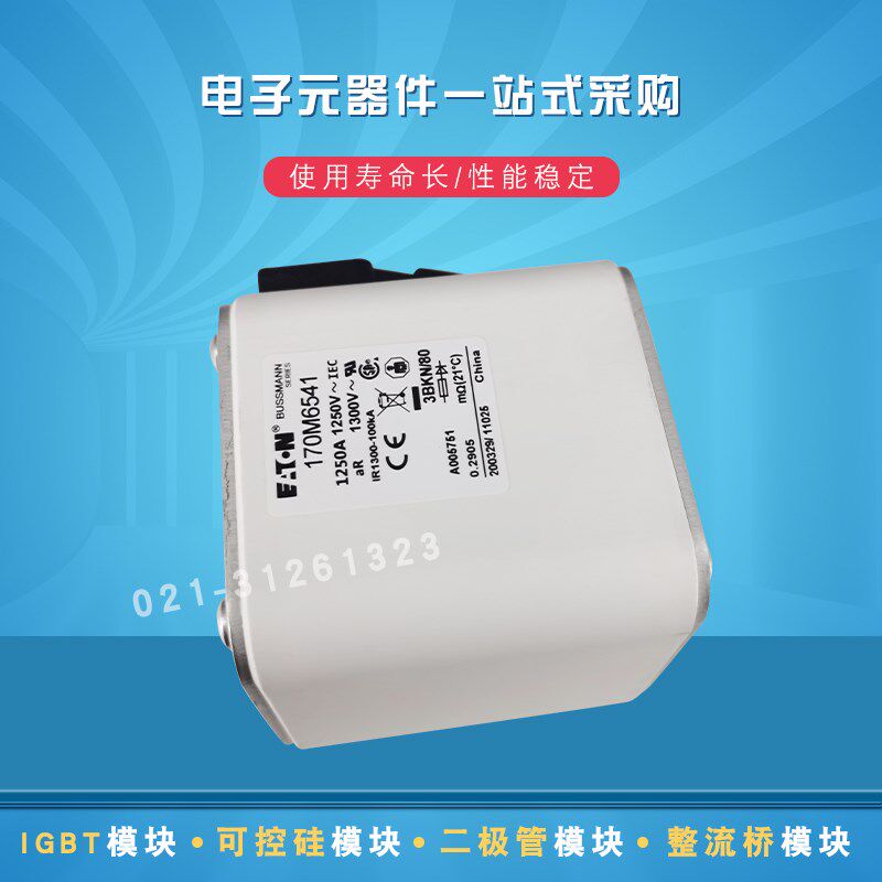 现货快速熔断器保险丝170M6594 6595 6596 6597 6598 6599 6600