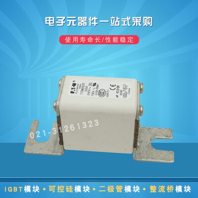 170M2713 2714 2715 2716 2718 2719 2720 2721快速熔断器保险丝