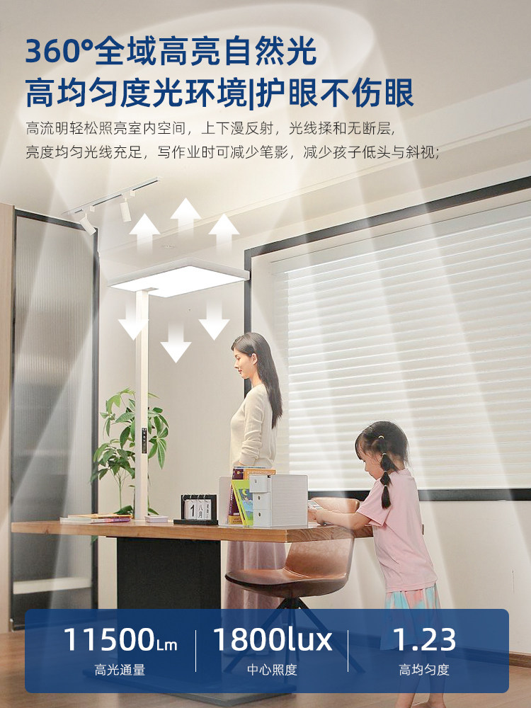 Full Spectrum Floor Lamp: Street Lamp Style E2120A+ - Product image 2