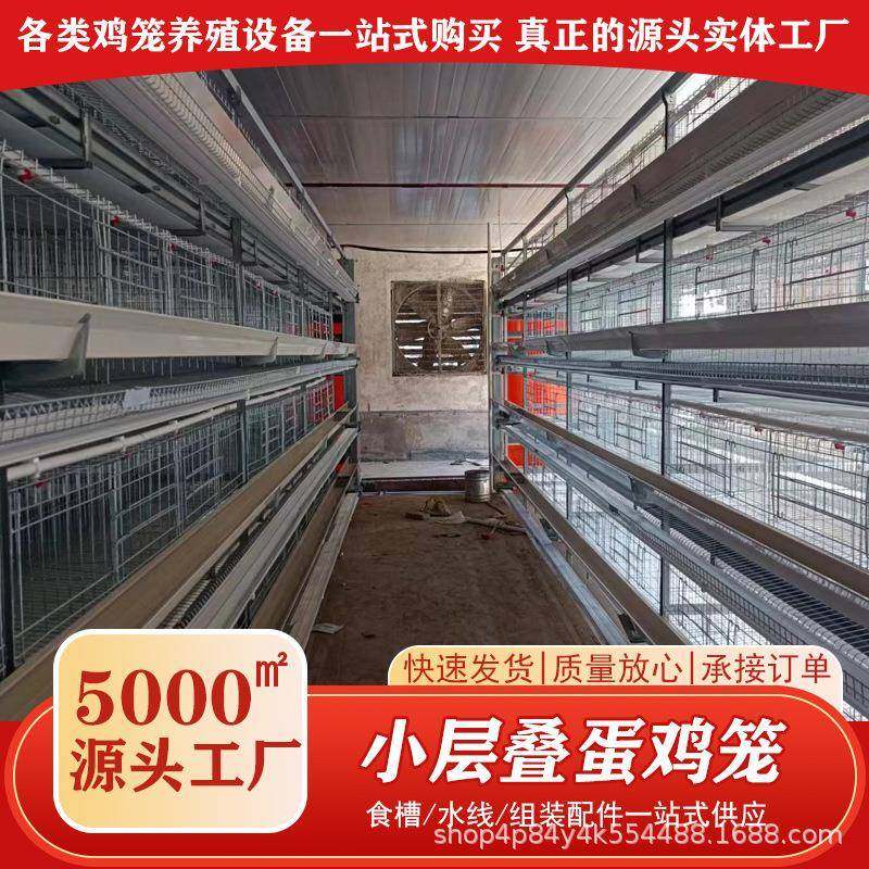 小层叠蛋鸡自动化畜牧养殖设备家禽经济型框架式热镀锌叠式养鸡笼,畜牧/养殖物资,特种养殖设备,淘宝优惠券,粉丝福利购,淘宝优惠卷
