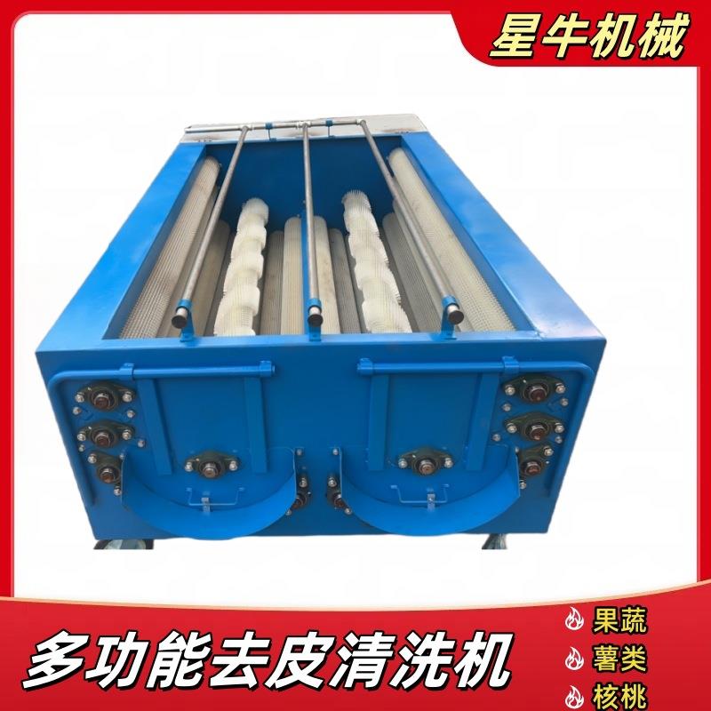 果蔬清洗机木薯胡萝卜核桃去皮清洗一体机毛刷清洗设备莲藕全自动