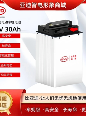 60V两轮电摩三轮电动车锂电池 比亚迪64V 30Ah车规级磷酸铁锂电池