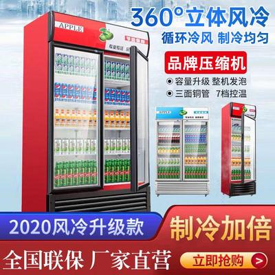 饮料展示柜啤酒柜商用冷藏冰柜双开门冷饮柜单门冷藏立式保鲜柜