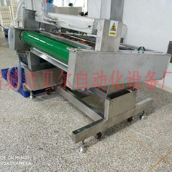 BE-1000型滚动式真空包装机-食品真空包装机-诸城贝尔真空包装机