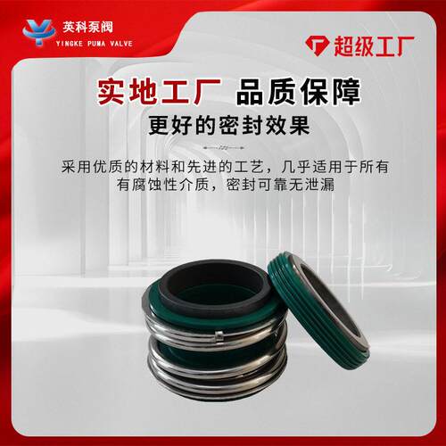 机YM109-40械密封件ym2109-5耐合金碳化硅氟水胶管道泵氟胶磨损泵