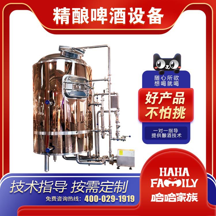 精酿家用酿造机械 散装啤酒生产机器 精酿啤酒配方 技术教学