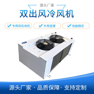 吊顶式双出风冷风机 DS-DL/DD型双出风冷却器  冷库制冷设备定制