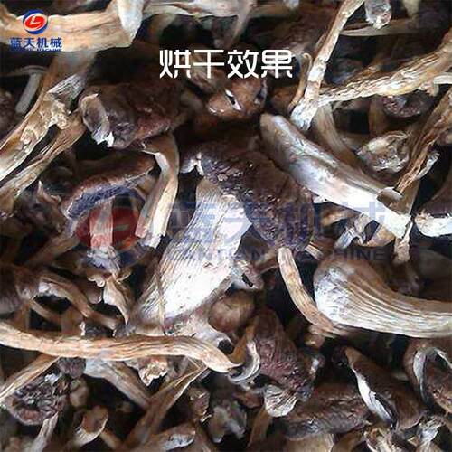 皱大球盖菇菇烘干机空气LT-DQGGH能大干球盖干片烘干机菌菇球盖菇