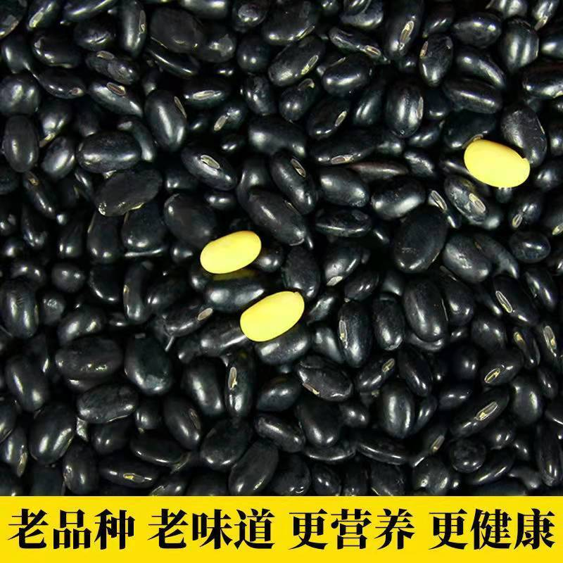 农家自种5斤肾形黑豆老品种黄芯黑小豆醋泡煮粥打豆浆发豆芽半斤