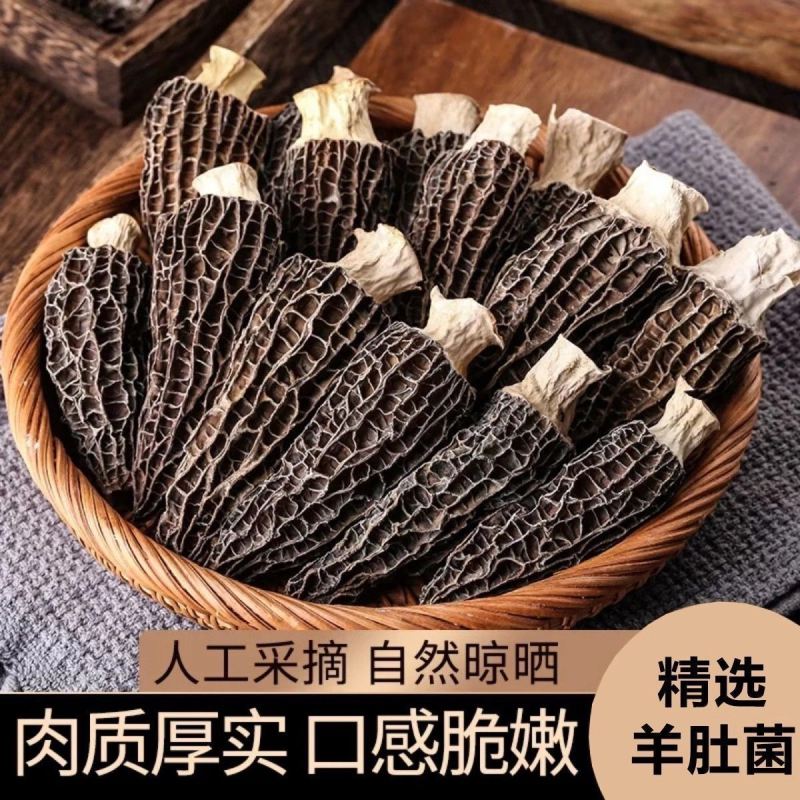 【肉厚脆嫩】头茬羊肚菌新鲜干货肉厚菌菇夏季煲汤全家营养食材