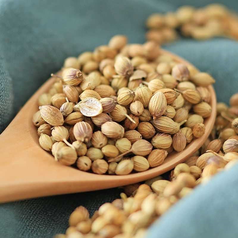 正宗香菜籽500g 新货香料胡荽籽食用香籽无硫调味家用香菜子50g