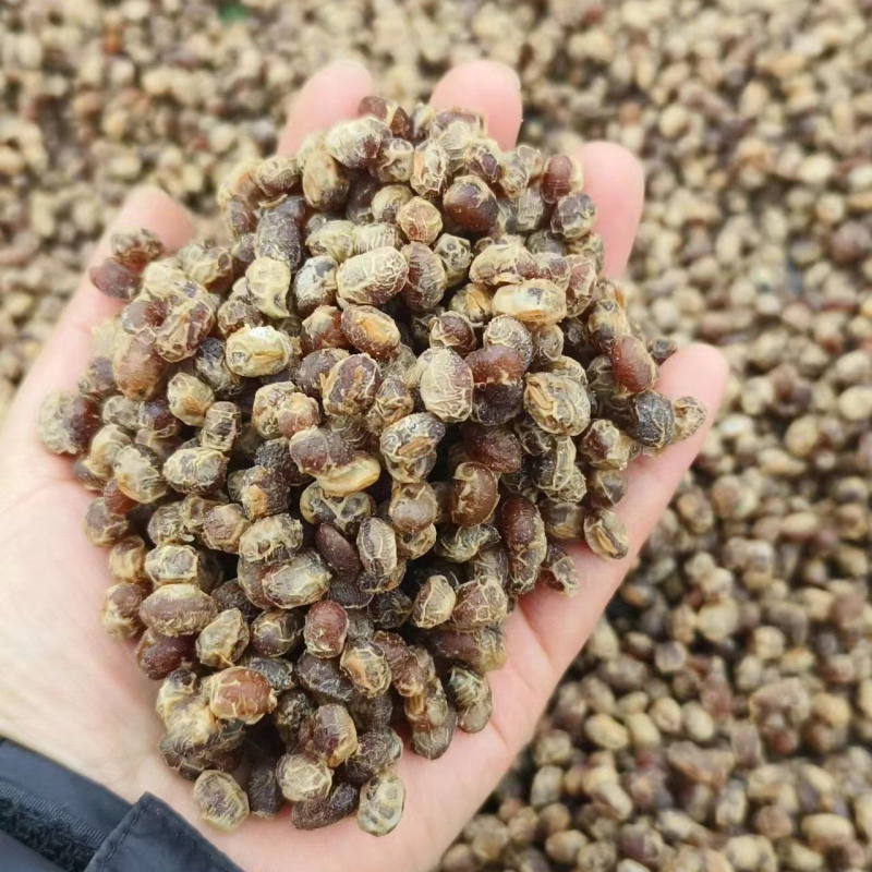 河南老式酱豆濮阳特产干豆豉原味非油炸抽臭豆子豆丝干发酵干酱豆