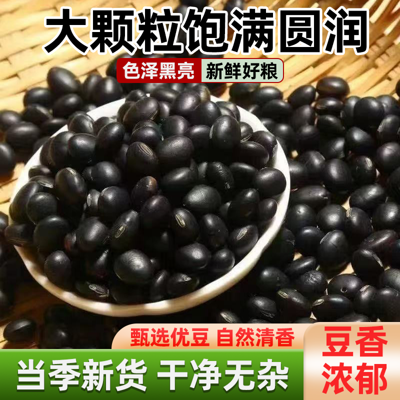 2025新黑豆粮食袋装五谷杂粮打豆浆珍珠黑豆蛹虫草虫草煲汤虫草花