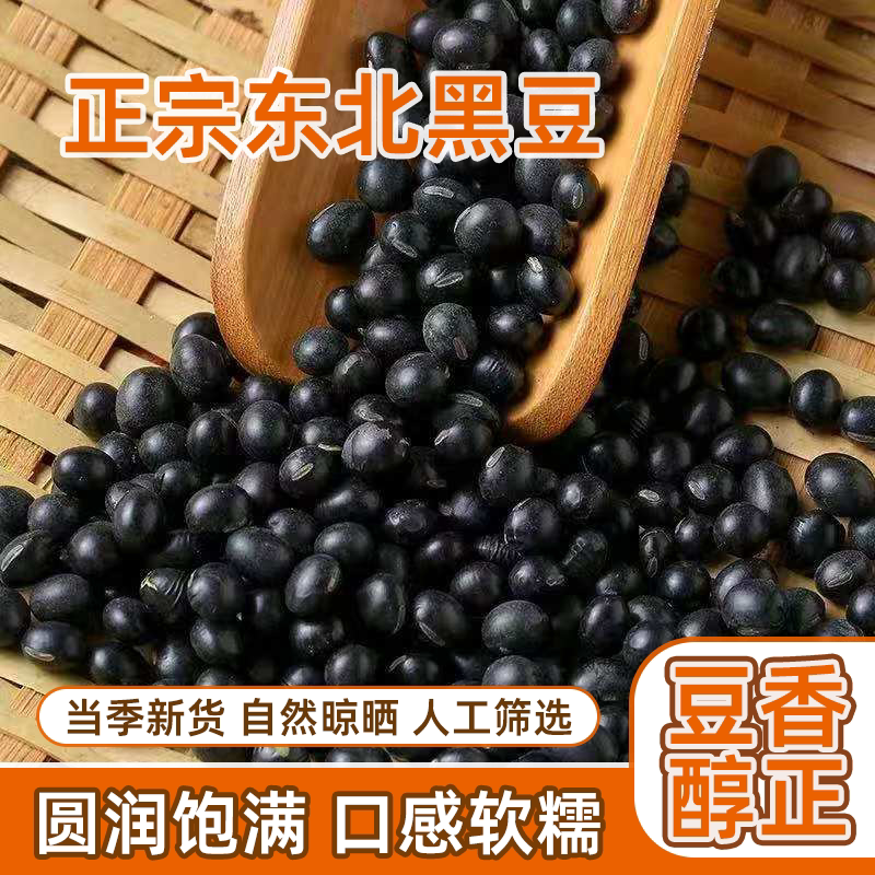 超低价正宗黑豆东北当季新货新鲜农家纯正泡非转基因豆芽豆浆自产