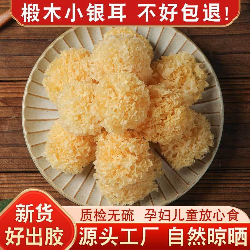 椴木小银耳新鲜干货古田无硫小朵白木糯雪银耳批发银耳羹