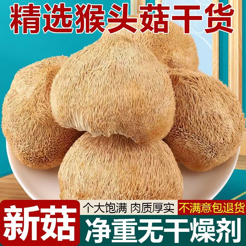 猴头菇干货古田菌菇新鲜猴头菌批发无硫蘑菇煲汤食材