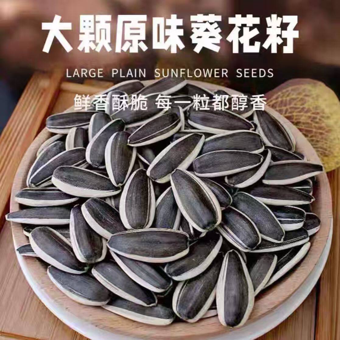 内蒙古新货现炒熟瓜子新鲜葵花籽原味瓜子超大颗粒坚果炒货批发价