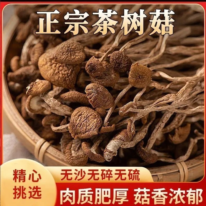 毛重古田当季不开伞茶树菇干货菌菇煲汤非净重茶树菇煲汤干锅好吃