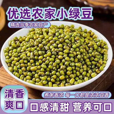农家自产新鲜东北绿豆新货新绿豆芽绿豆粥绿豆汤绿豆糕绿豆粥商用