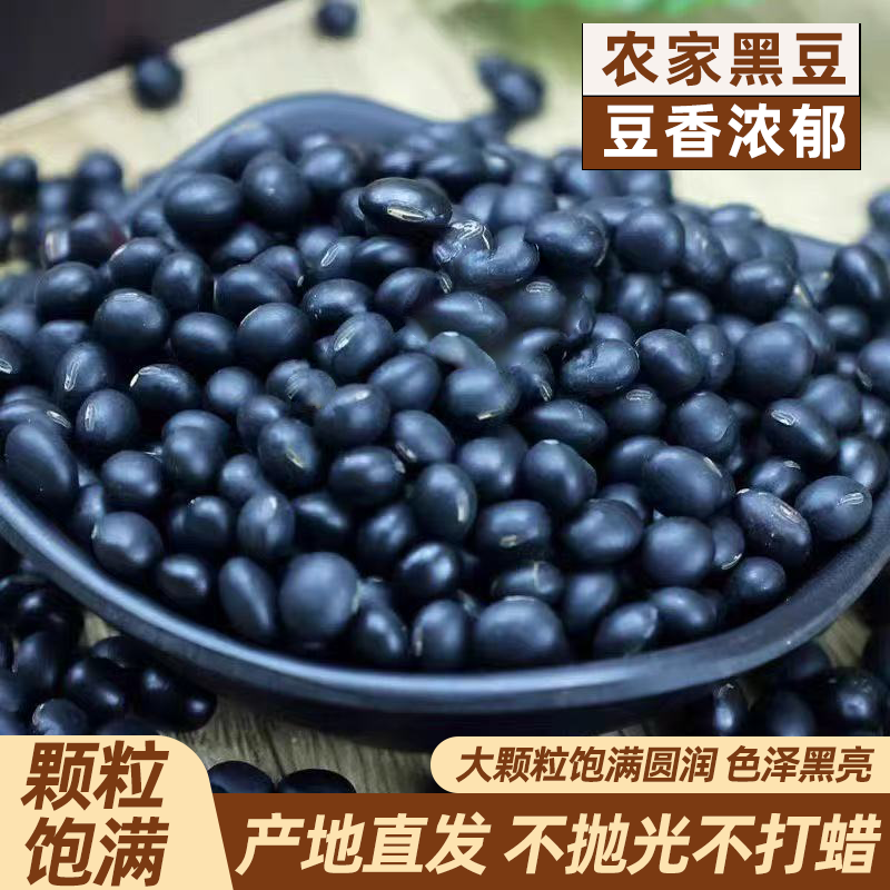 农家自种小黑豆正宗新货黑豆品质好黑豆补气血黑豆打豆浆杂粮批发