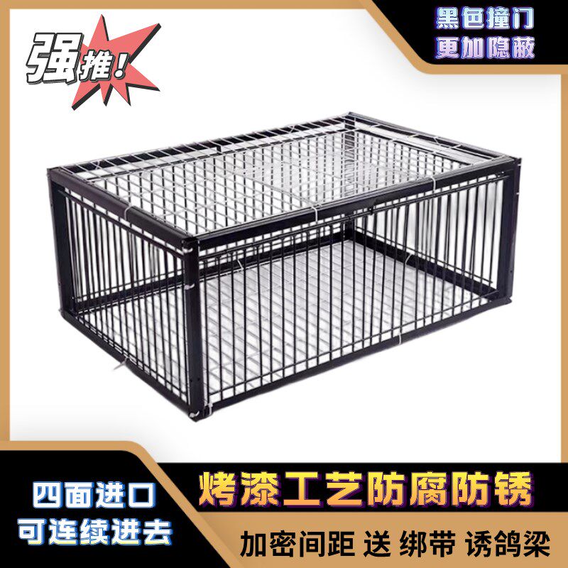 新款只进不出镀锌加密信鸽天落笼野外自动撞门笼连续鸽笼收鸽神器