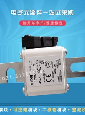 170M4058 4059 4060 4061 4062 4063 4064 4065快速熔断器保险丝