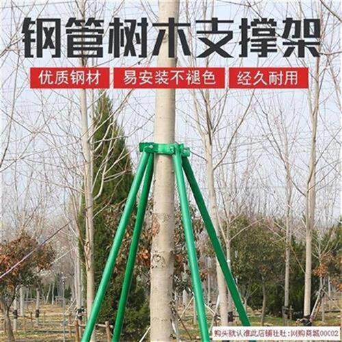 i树撑固定器大树支架园林树木绿栽杆移风三脚架防化工程卡箍套
