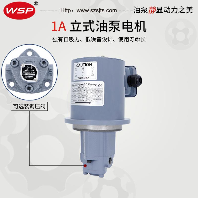 NOP同款TOP-1ME100-12MA/13MA摆线泵齿轮泵