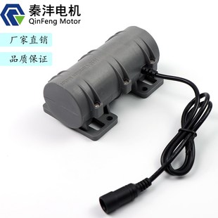 R3650直流12V24V振动马达按摩床电机
