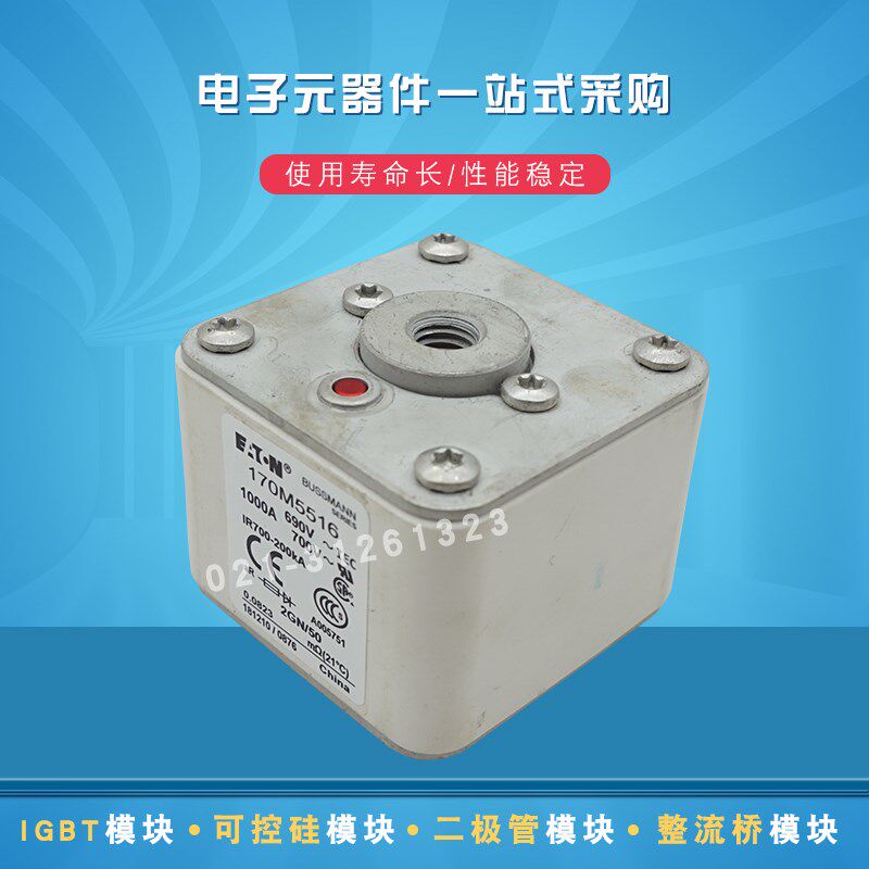 170M5559 5560 5561 5562 5563 5564 5565 5566巴斯曼熔断器全新