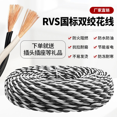 国标电线双绞线1.5 2.5 4平方家用照明花线电车充电延长软电源线