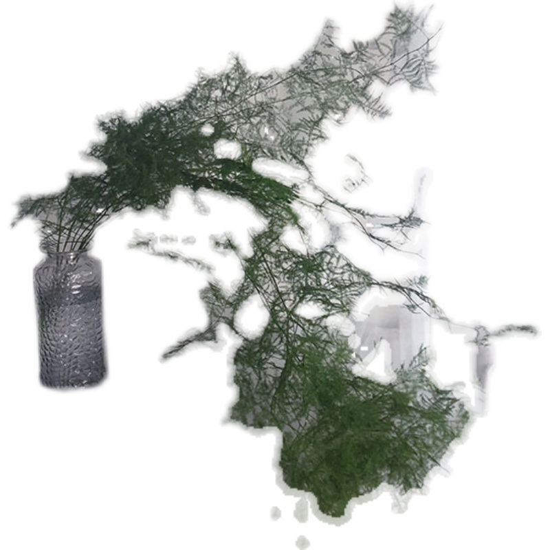 仙气十足文竹干枝瀑布手捧配叶悬挂花材造型树枝场景布置拍摄道具