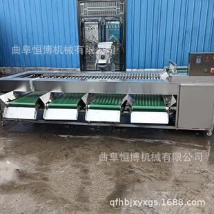 橙子沃柑分级机 洋葱土豆筛选机 分选设备厂家 山竹百香果分选机