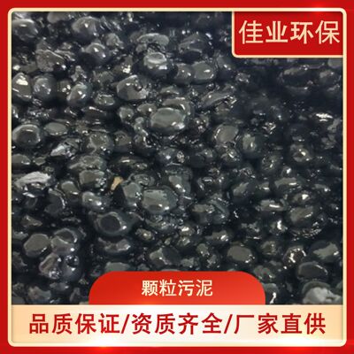 厌氧颗粒活性污泥菌种污水处理IC塔厌氧池高难水厌氧塔专用菌种