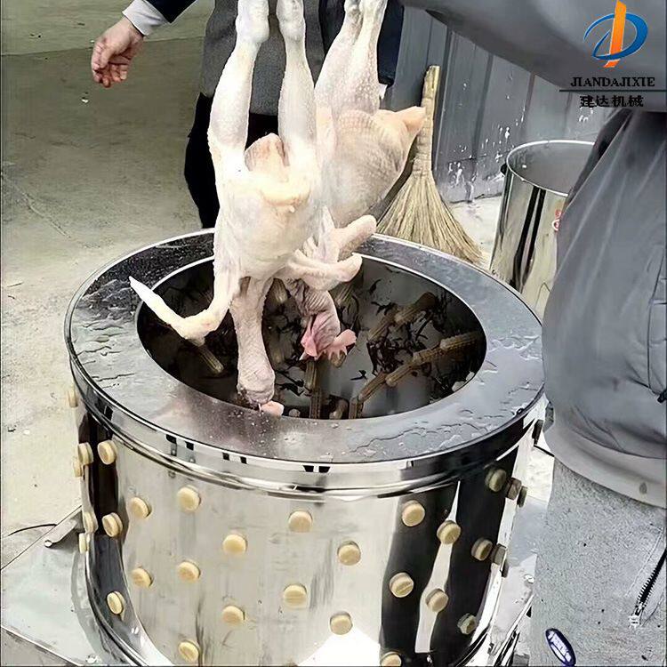 小型鸭鸡拔毛器 电动家禽脱毛机厂家直销 不锈钢立式鸡鸭鹅打毛机