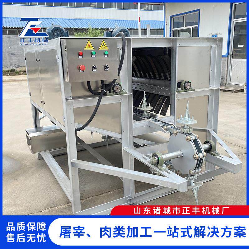 定制整猪脱毛加工设备 屠宰流水线屠宰场猪打毛机猪头脱毛机