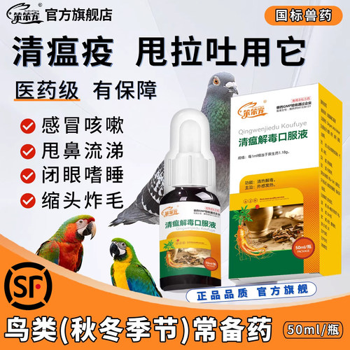 鹦鹉鸟鸽子甩拉吐感冒药炸毛闭眼