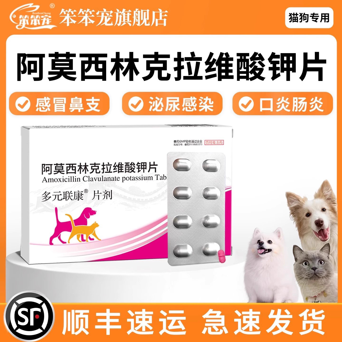 阿莫西林克拉维酸钾片宠物速专用诺消炎片狗狗感冒药猫咪咳嗽药新,宠物/宠物食品及用品,猫呼吸道疾病药品,淘宝优惠券,粉丝福利购,淘宝优惠卷