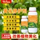叶丰绿能黄化修护剂改善黄化叶面转绿促根壮棵改善果实叶面水溶肥