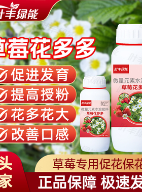 叶丰绿能草莓花多多促进花芽分化激发花粉活力提高授粉坐果叶面肥