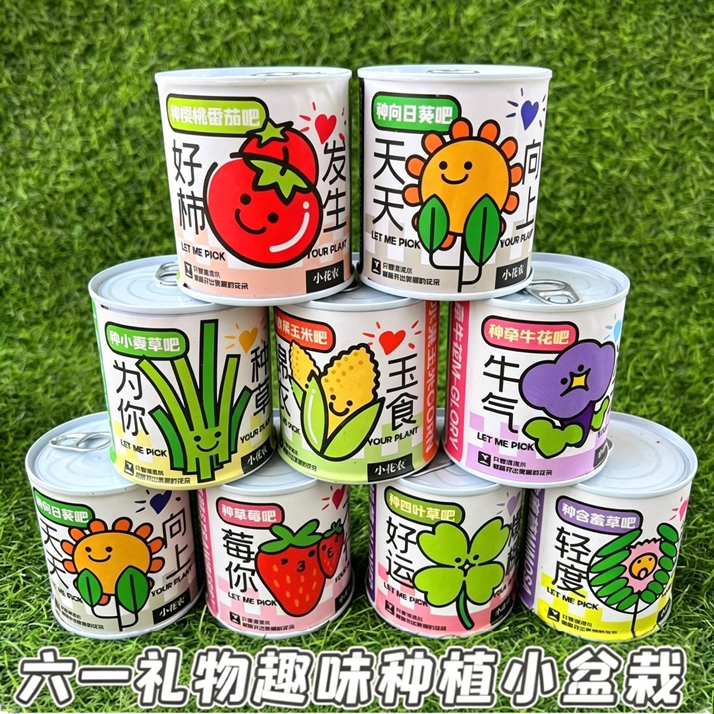 小学生活动罐装种植盆栽儿童桌面罐头植物盲盒小学义卖小商品幼儿园幸