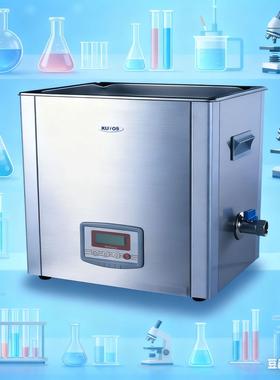 SK5200H高频超声波清洗器/ 尺寸 300*240*150 容量10L超声波清洗
