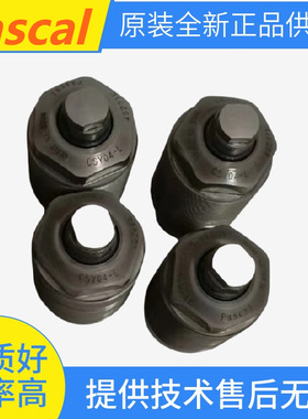 日本帕斯卡Pascal油缸CMCP06-10 夹紧油缸BTU02-L 液压油缸