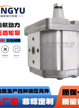 迪普马DUPLOMATIC齿轮泵GP2-011R95B GP1-0020R95 GP3-0427液压泵