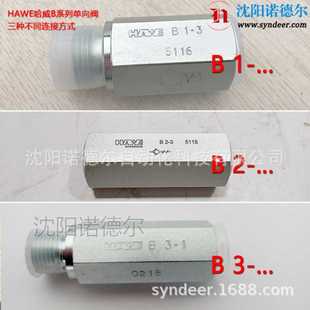 0.4F PYD 1现货HAWE哈威B型单向阀BC B?1