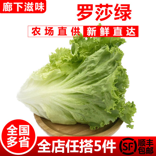 罗莎绿500g花边生菜花叶